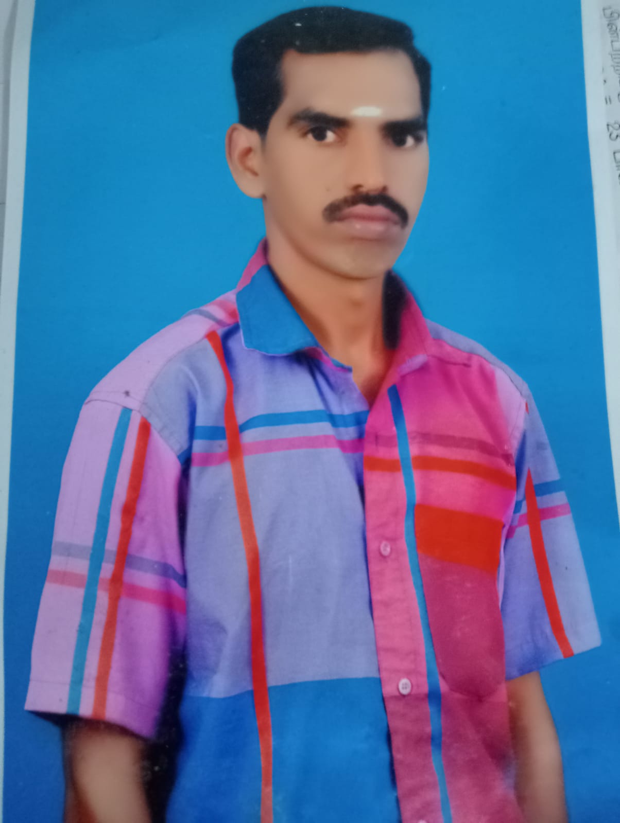 Groom Image